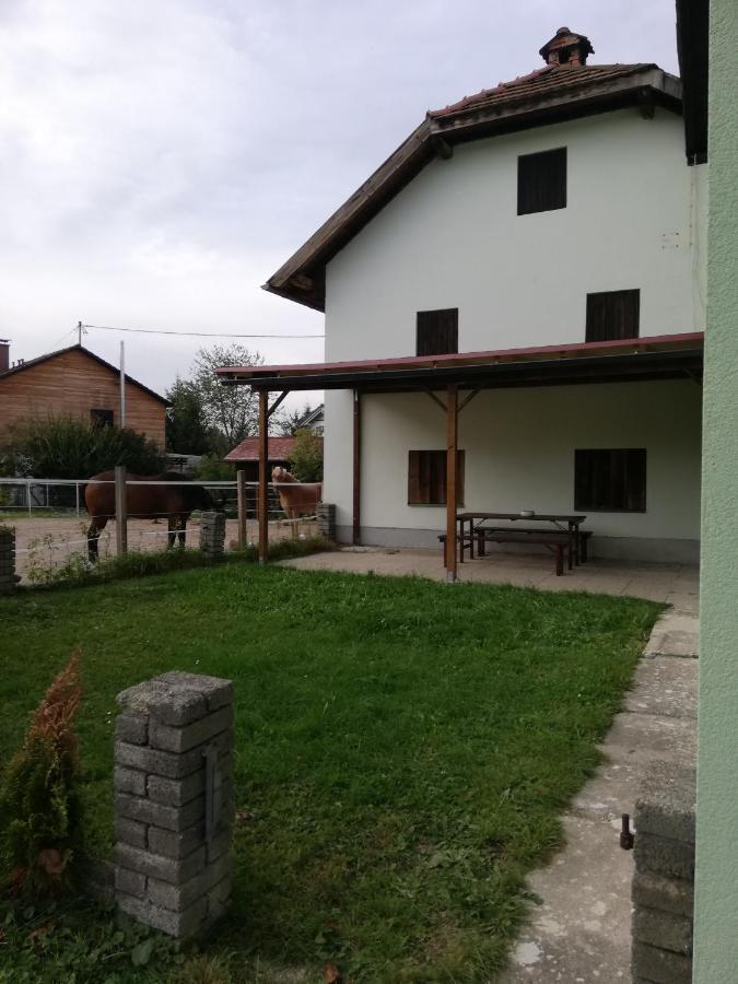 Ferienwohnung Schmied 1 Aurach am Hongar Exterior photo